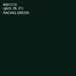 #091C15 - Racing Green Color Image